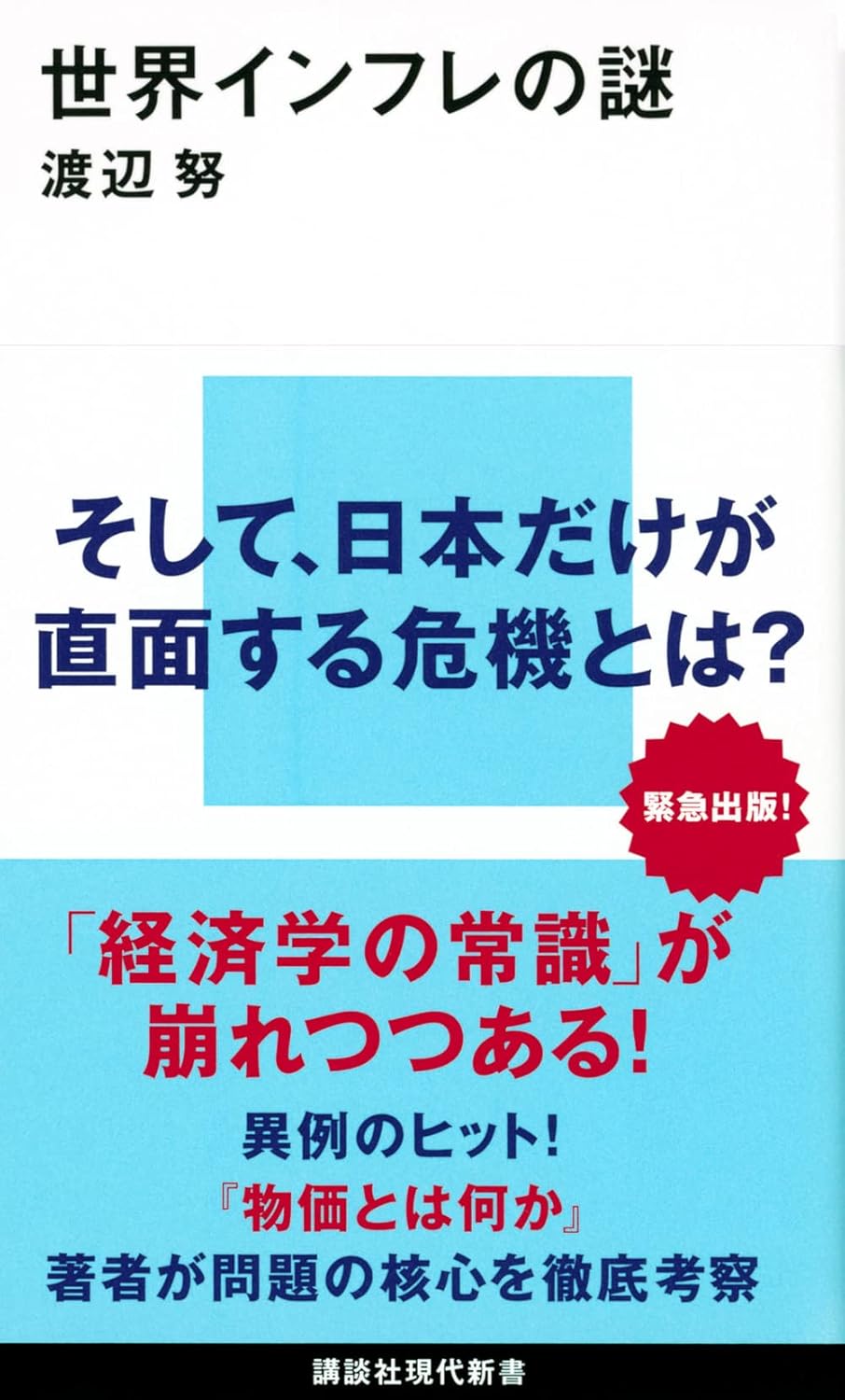 世界インフレの謎【要約】　あのインフレは何だったのか